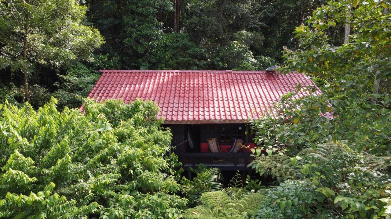 Yatama Rainforest Ecolodge Sarapiquí Exterior foto