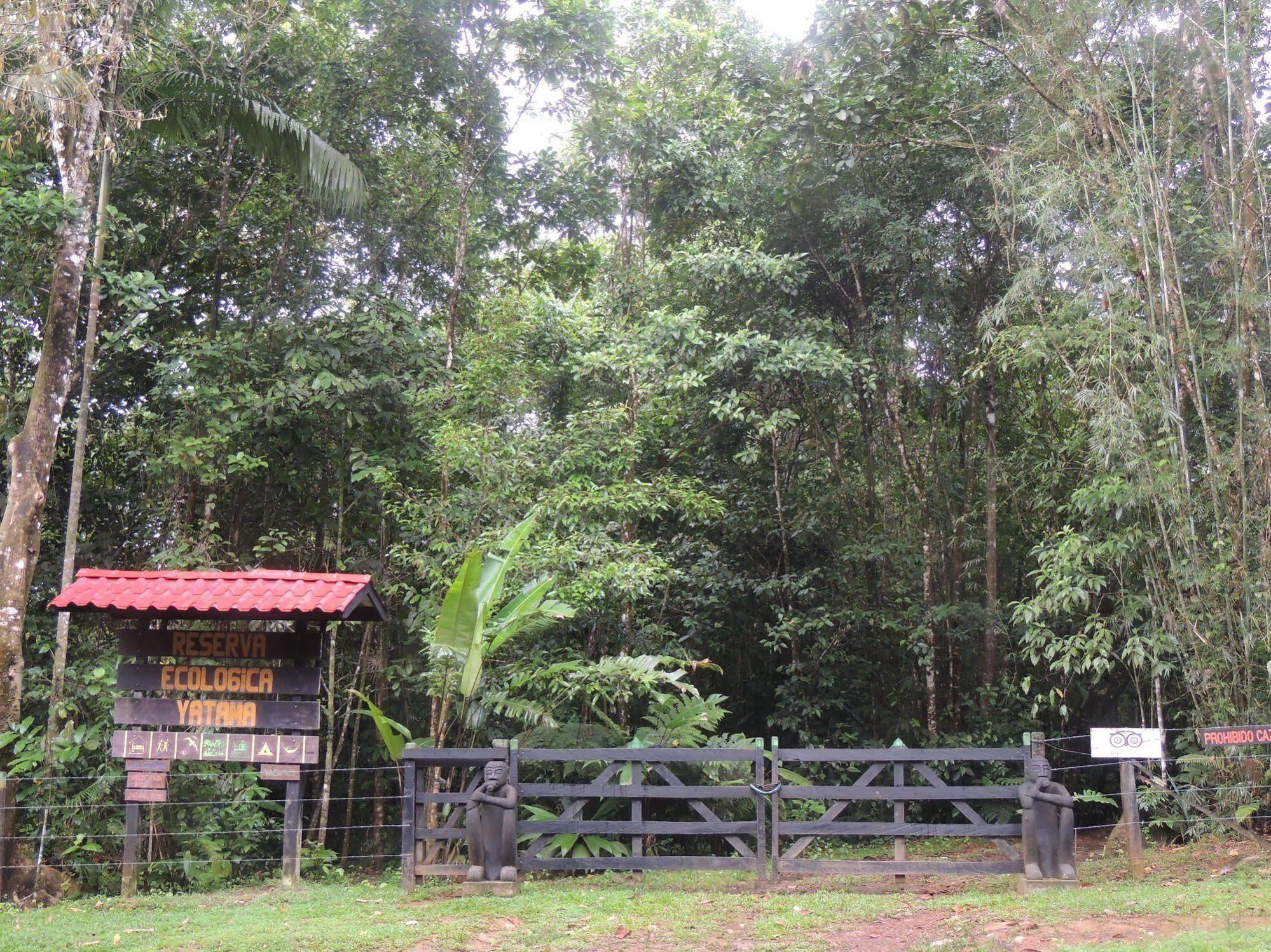 Yatama Rainforest Ecolodge Sarapiquí Exterior foto