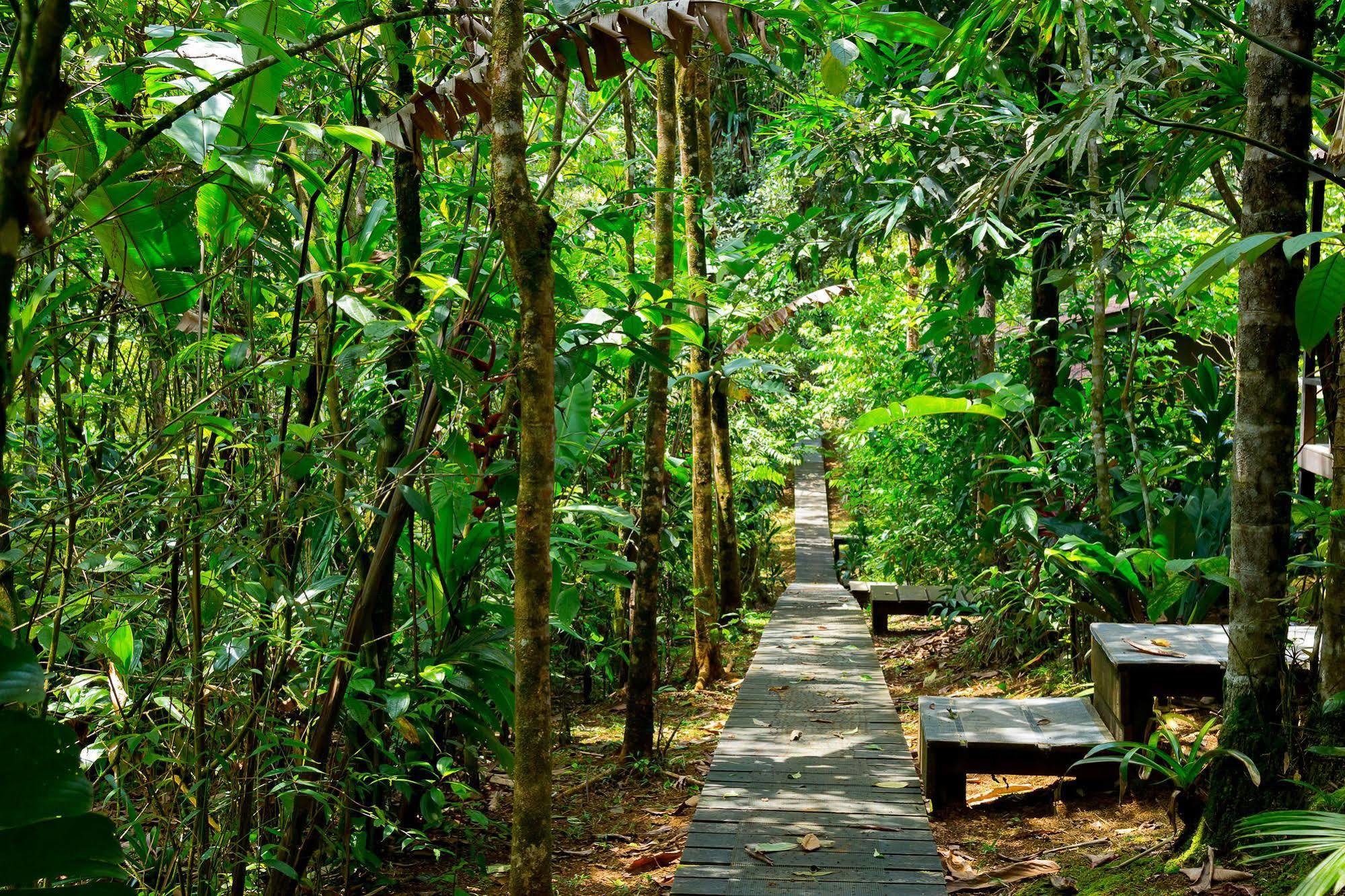 Yatama Rainforest Ecolodge Sarapiquí Exterior foto
