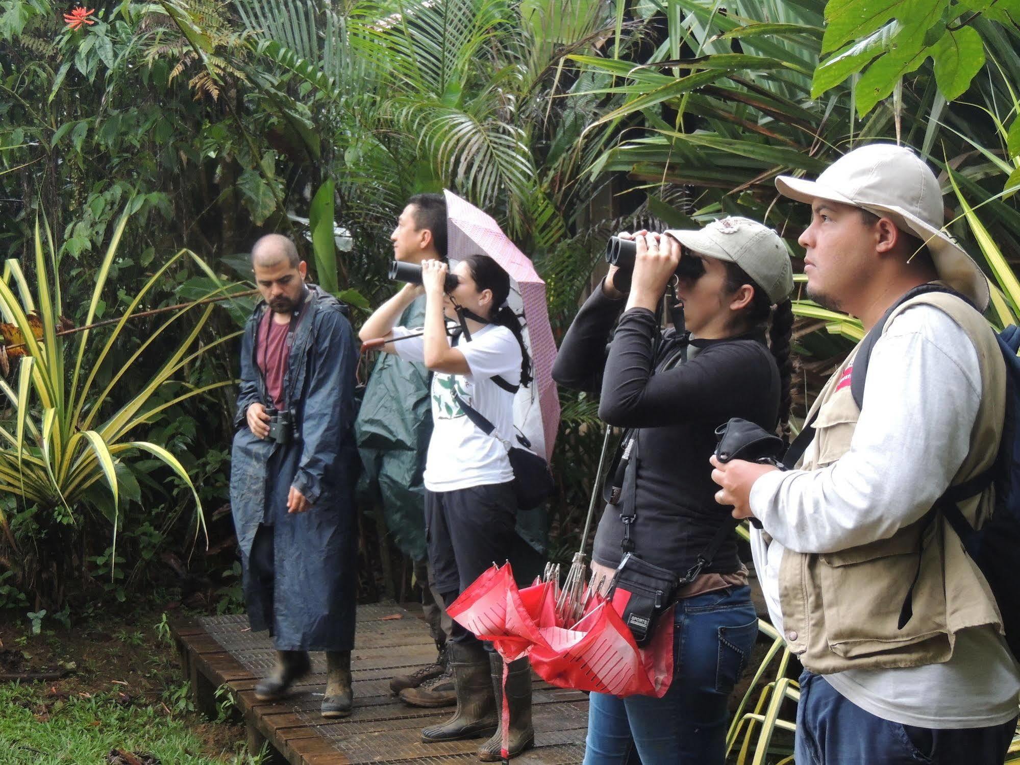 Yatama Rainforest Ecolodge Sarapiquí Exterior foto