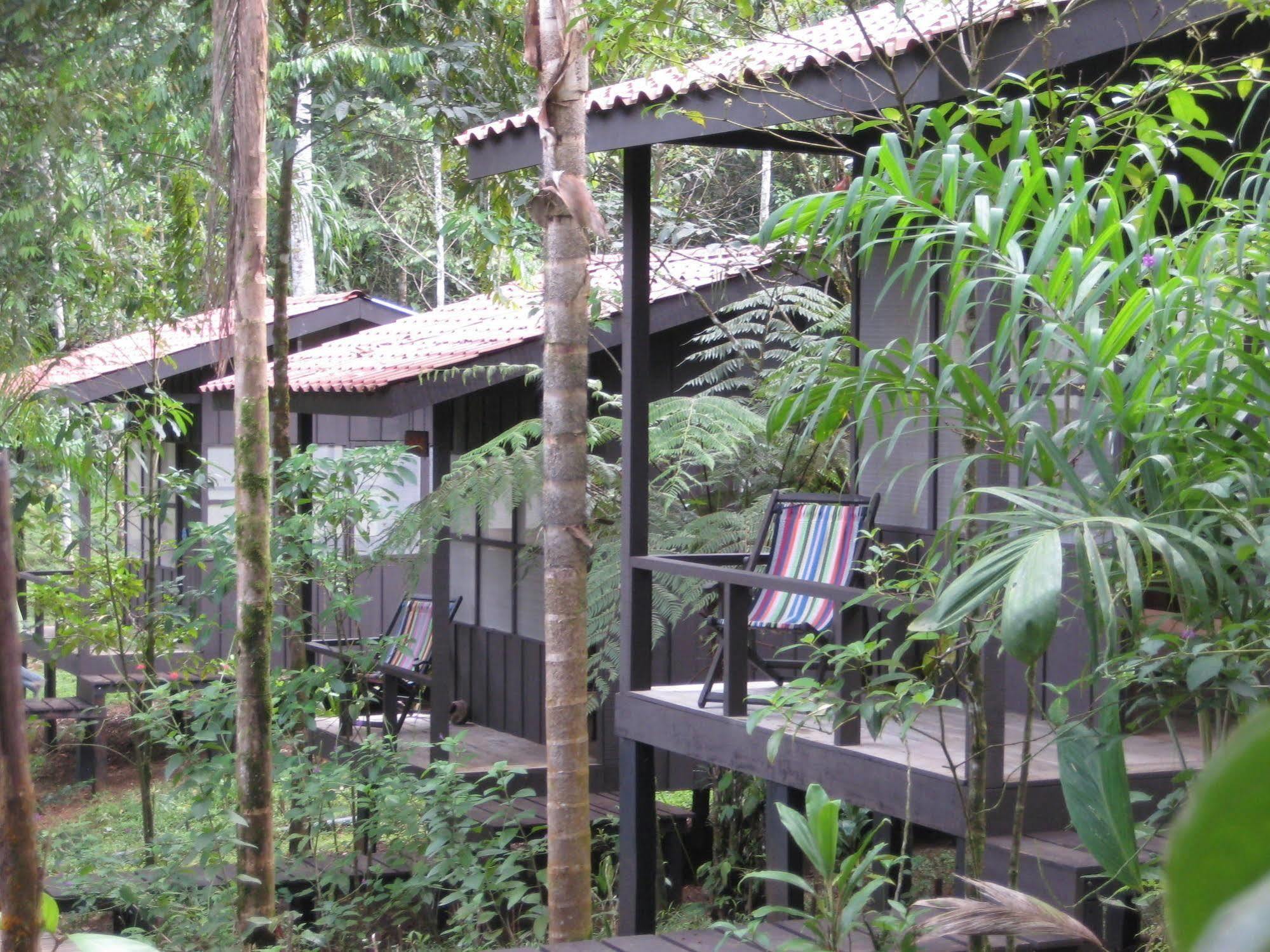 Yatama Rainforest Ecolodge Sarapiquí Exterior foto