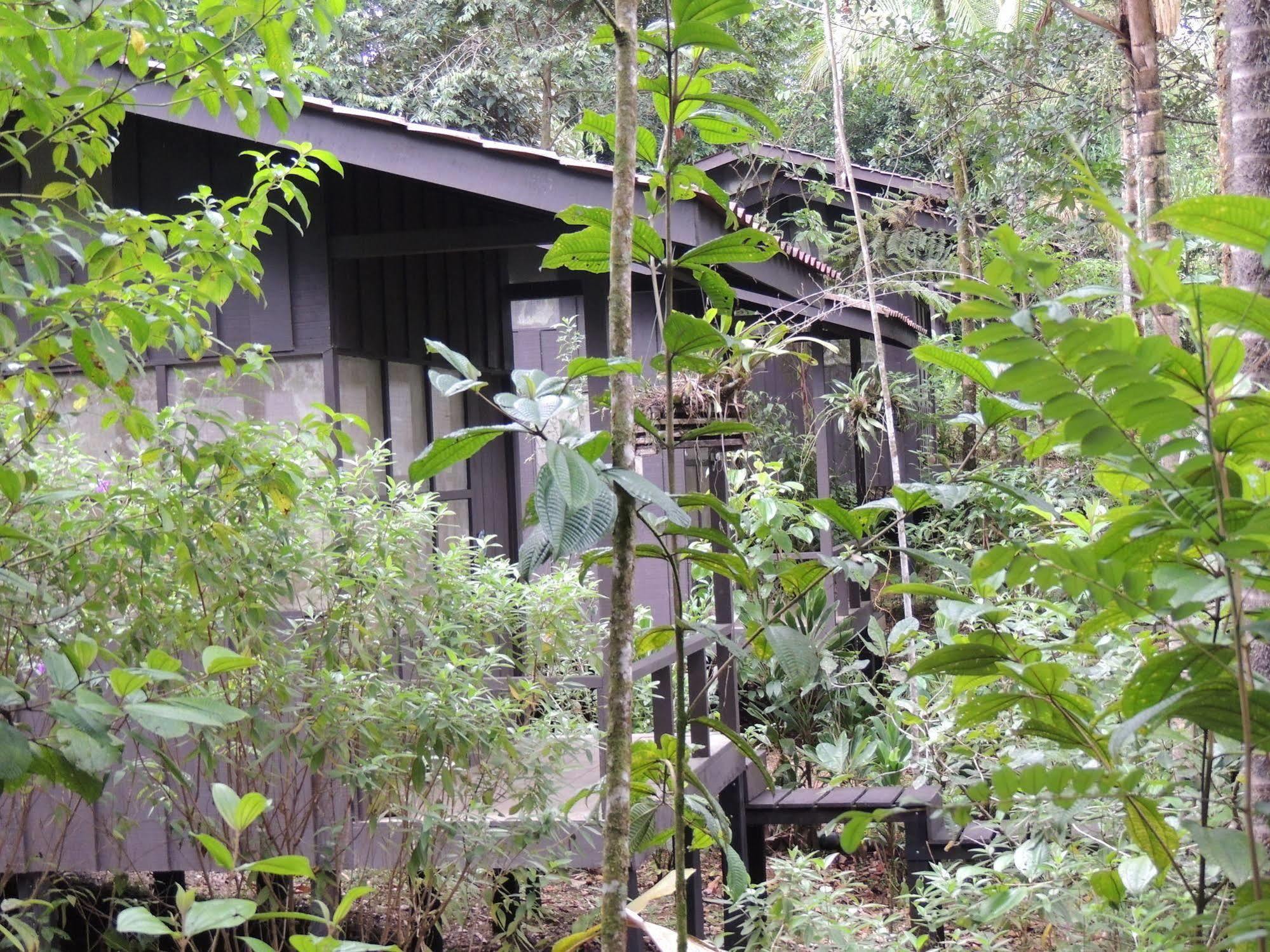 Yatama Rainforest Ecolodge Sarapiquí Exterior foto